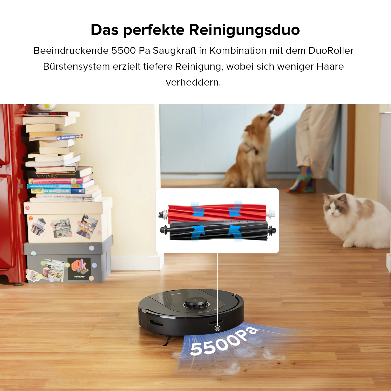Vorschaubild 3